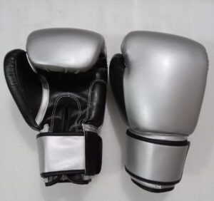 Pair of professional boxing gloves featuring embossed logo and contrast stitching